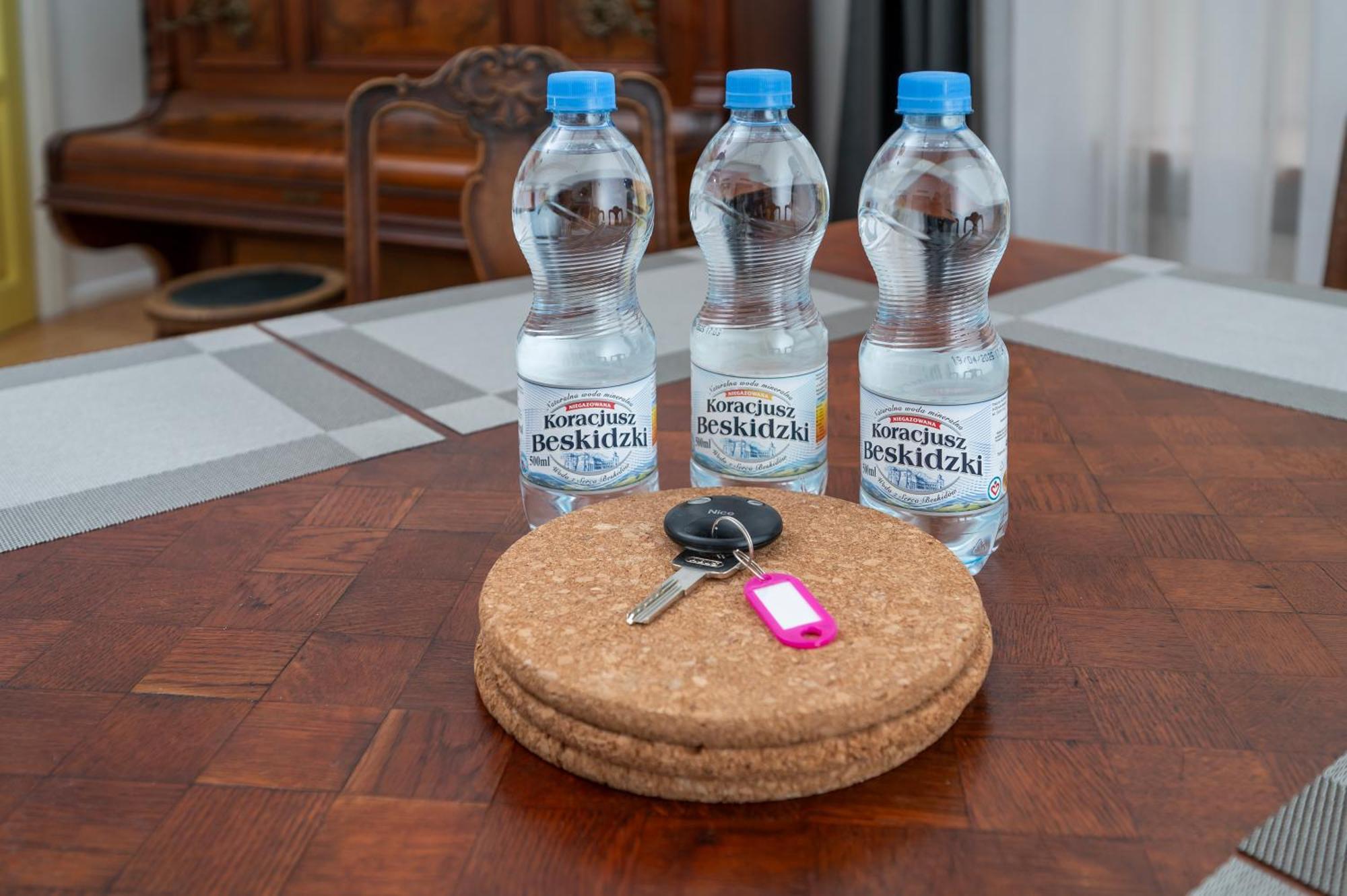 Central Family Apartment ウッチ エクステリア 写真